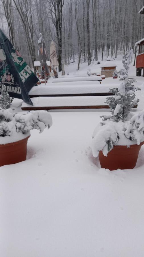 Chata Korenny Vrch Pezinska Baba Bazin Kültér fotó