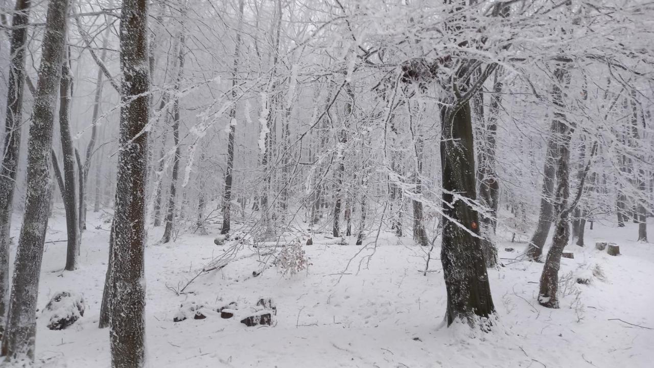 Chata Korenny Vrch Pezinska Baba Bazin Kültér fotó