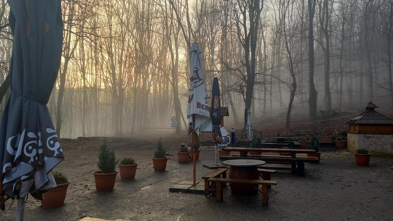 Chata Korenny Vrch Pezinska Baba Bazin Kültér fotó