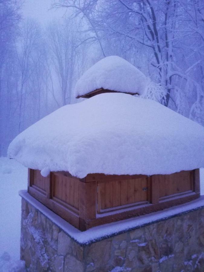 Chata Korenny Vrch Pezinska Baba Bazin Kültér fotó