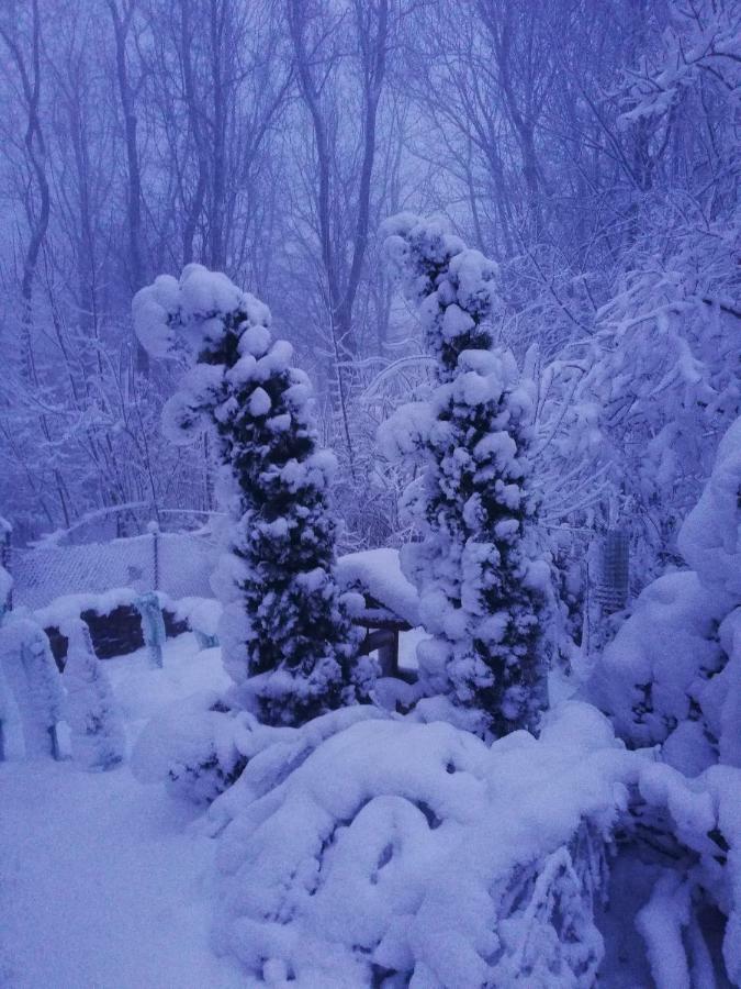Chata Korenny Vrch Pezinska Baba Bazin Kültér fotó